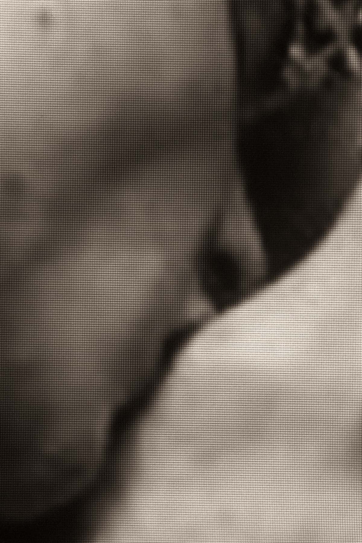 Adam's Apple Kiss 1