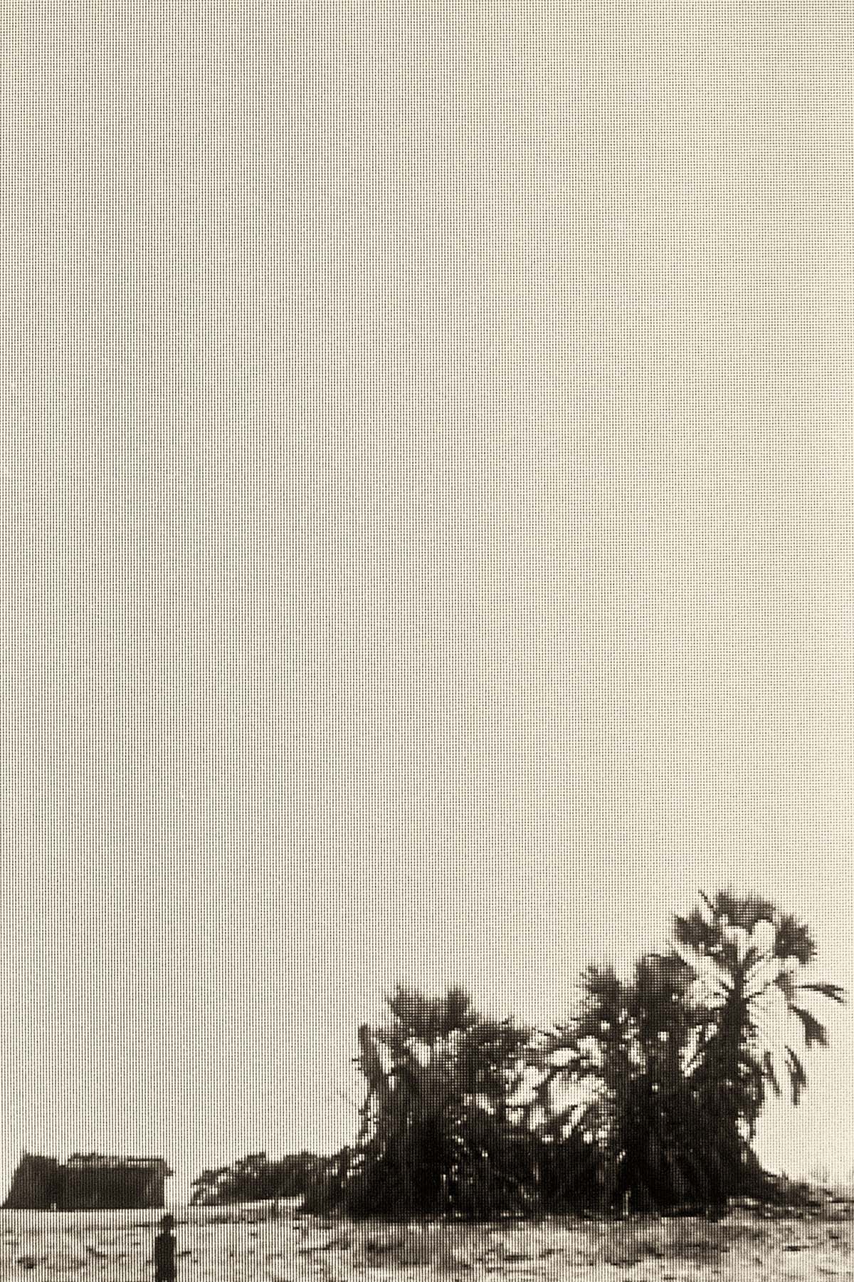 The Beach
