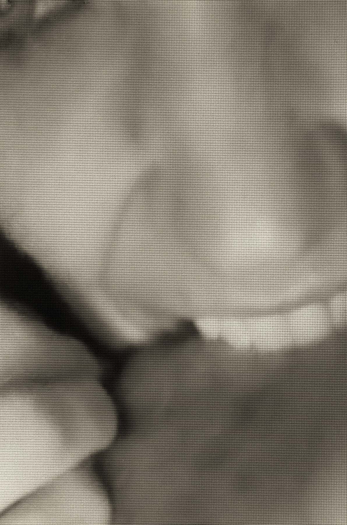 The Bite
