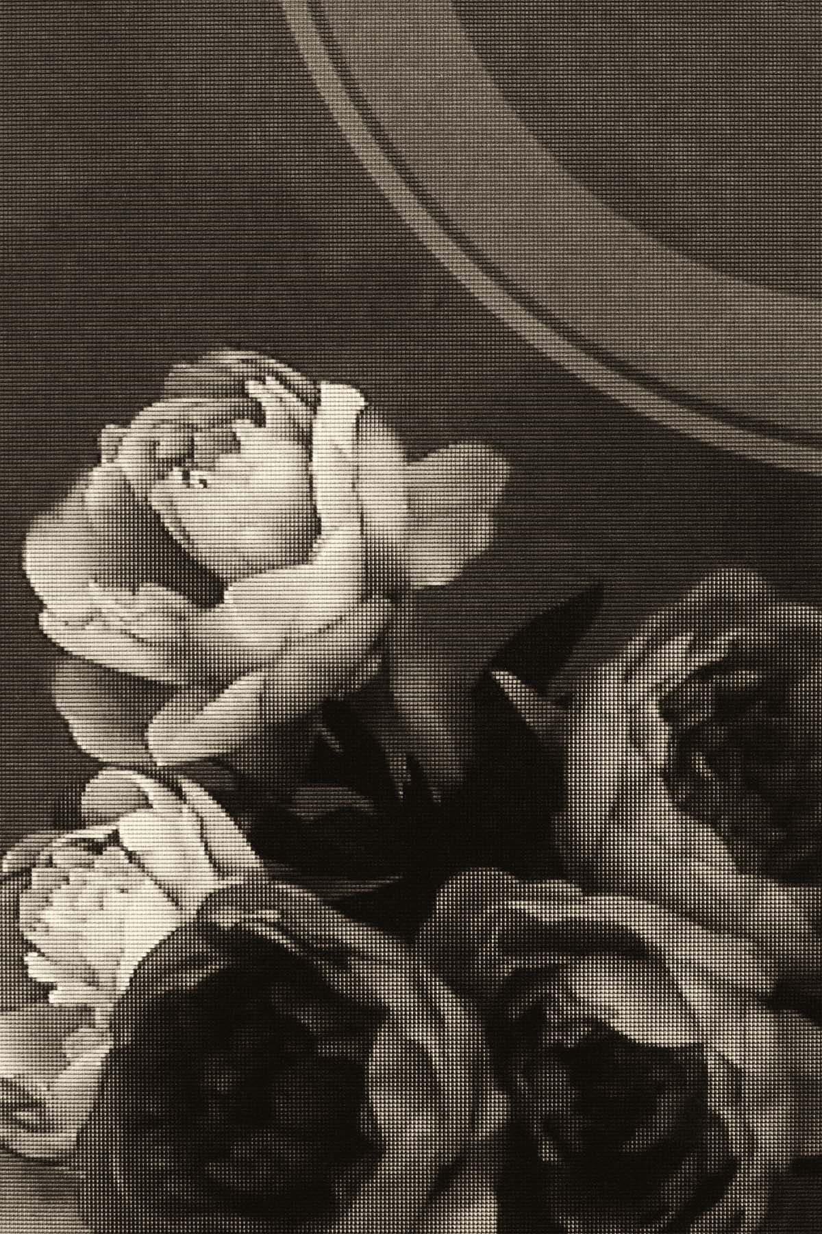 Plastic Peonies
