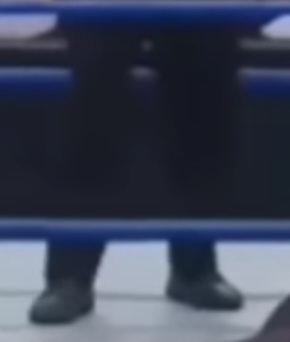 Feet