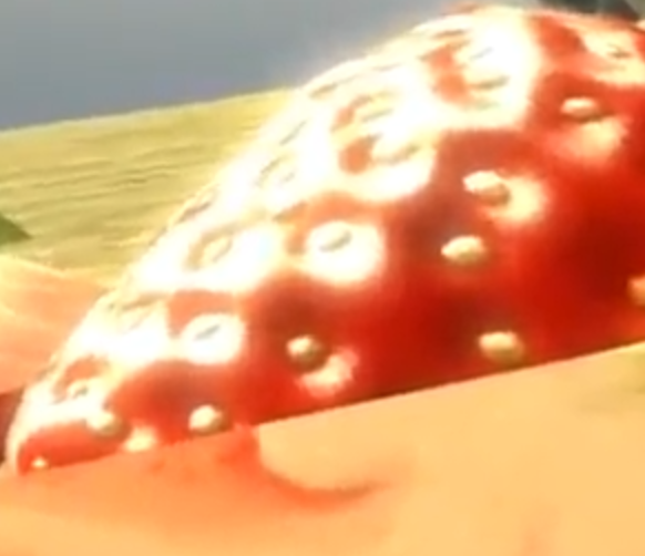 Strawberry